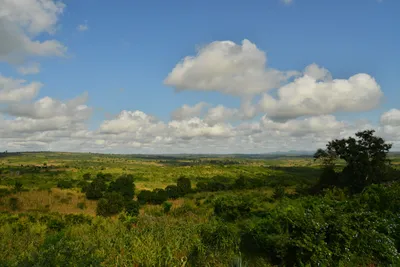 DSC_4368 (Large).JPG